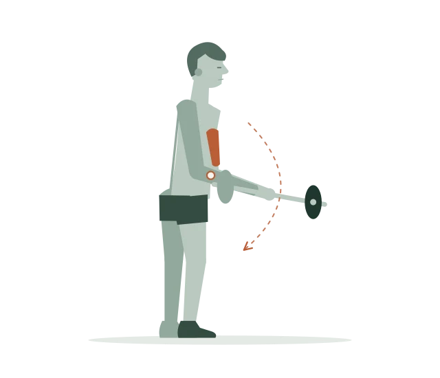 Barbell curl: Laat de stang zakken