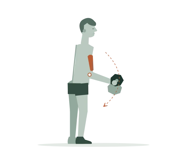 Hammer curl: Strek rustig terug