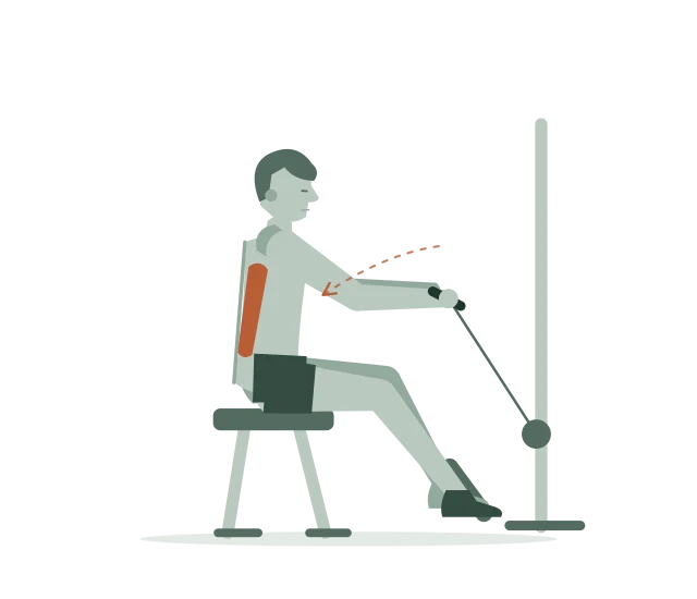 Seated cable row: Zit rechtop