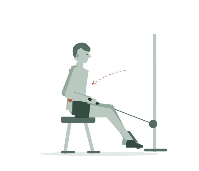 Seated cable row: Trek naar je buik