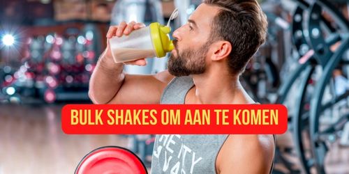 bulk shakes om aan te komen