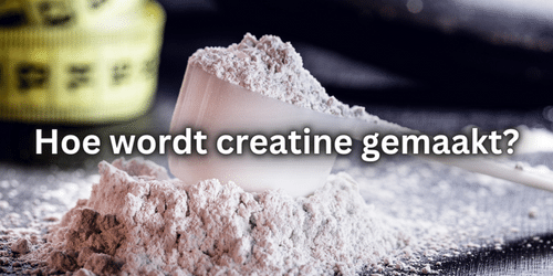 Hoe wordt creatine gemaakt