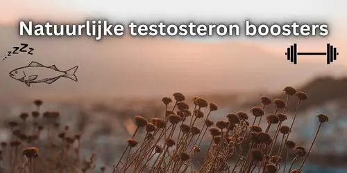 natuurlijke testosteron boosters